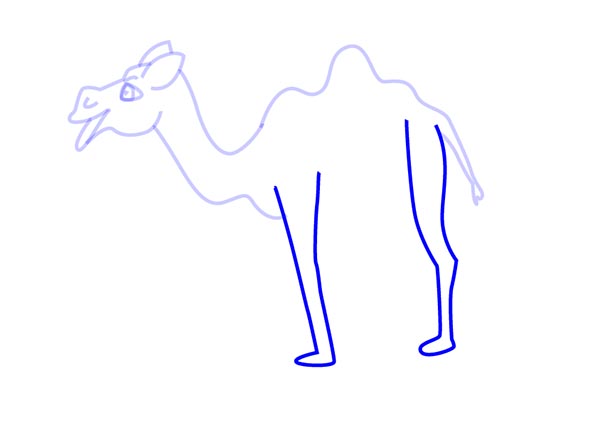 /uploads/image/2021/05/25/How to Draw a Cartoon Camel5.jpg